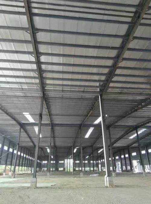 深圳市鋼結(jié)構(gòu)夾層結(jié)構(gòu)安全檢測(cè)鑒定單位技術(shù)咨詢今日新聞報(bào)道